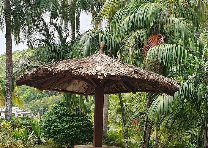 Alpstuga Cashew Nut Grove Port Glaud