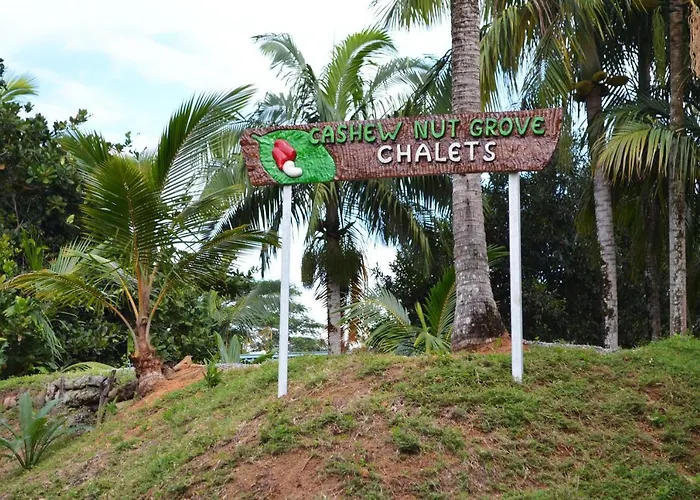 Cashew Nut Grove Alpstuga Port Glaud