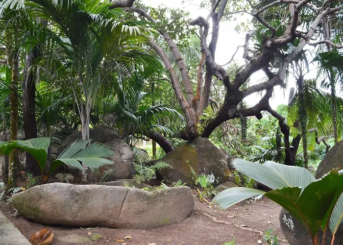 Alpstuga Cashew Nut Grove *